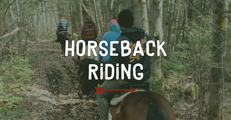 Horseback Riding - Maple Valley Ranch Barrie, Ontario